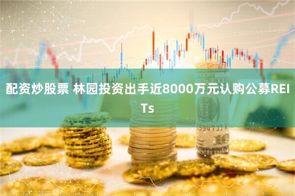 配资炒股票 林园投资出手近8000万元认购公募REITs