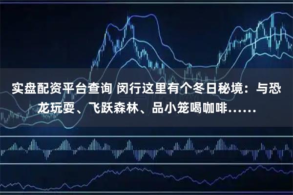 实盘配资平台查询 闵行这里有个冬日秘境：与恐龙玩耍、飞跃森林、品小笼喝咖啡……